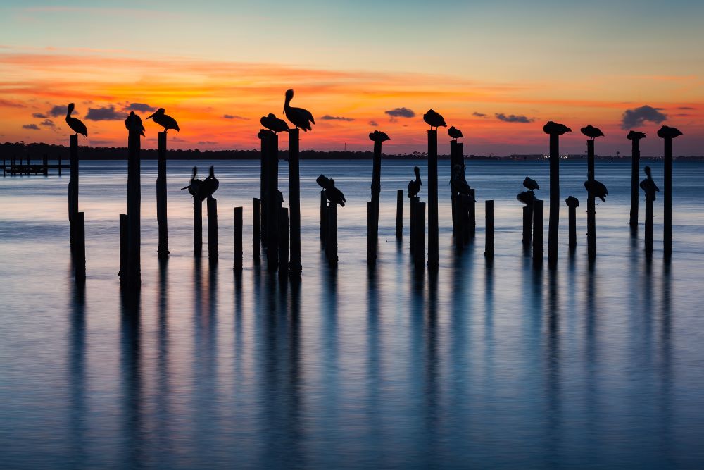 Destin Property Management