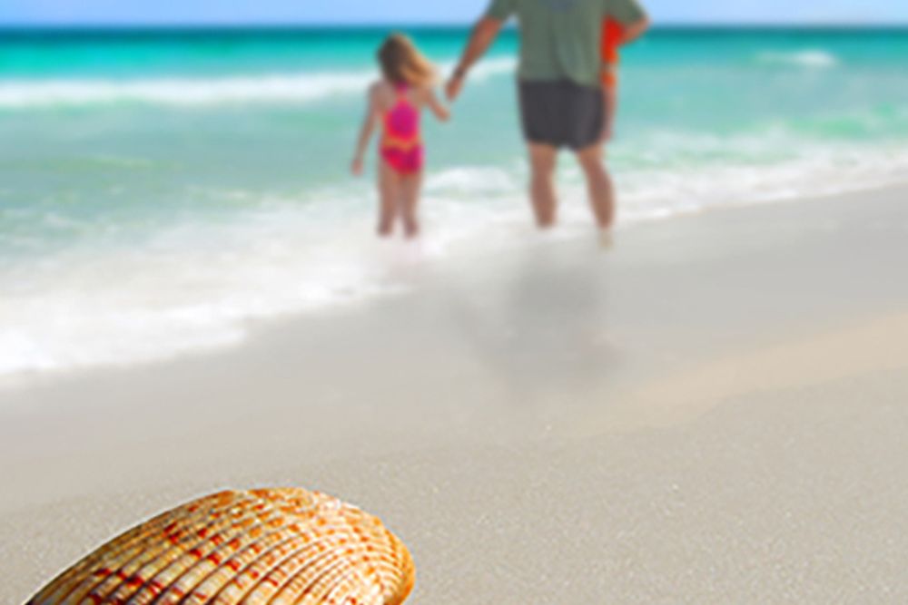 Santa Rosa Beach-30A Property Management
